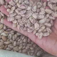 حبوبات|خوردنی و آشامیدنی|اصفهان, راران|دیوار