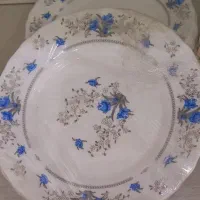 پیش دستی