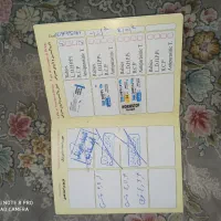 سگ پامر|سگ|ری, امین آباد|دیوار