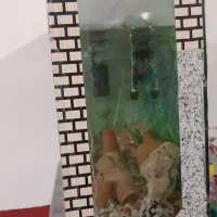 یک عدد آکواریوم ۶میل