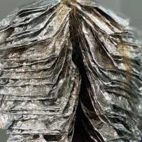 مدل برای تکنیکهای ۶وهفت تا ۱۵فویلی میخام رنگ و‌مش