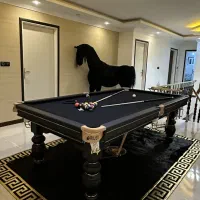 بیلیارد و اسنوکر با چرم کوبی بدنه