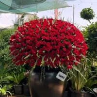 رز هلندی باکس دسته گل VIPدسته گل سوپرایزی باعشق