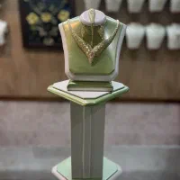 قاب طلا/ویترین طلا/دکور طلا/مانکن طلا