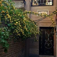 خونه ویلایی100مترقولنامه ای باکدرهگیری