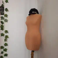 مانکن سوزن خور