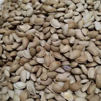خرید بادام نقدوقیمت تجاری|خدمات باغبانی و درختکاری|فارسان, |دیوار