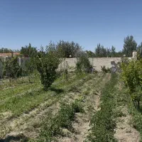 ویلا باغ روستای حصار|فروش خانه و ویلا|نوشین شهر, |دیوار
