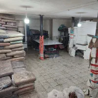 شاه نشین شاه پسند سرمه ای**|پشتی|قم, نیروگاه|دیوار