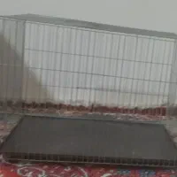 قفس پرنده