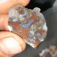 سنگ شجر عقیق سلیمانی|کلکسیون اشیاء عتیقه|تایباد, |دیوار