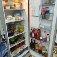 یخچال دوقلوی سیلوان|یخچال و فریزر|رشت, معلولین|دیوار