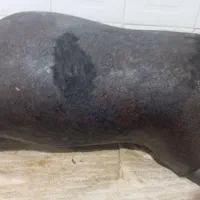 هیزه|سایر لوازم برقی|کوهدشت, |دیوار