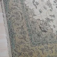 فرش و روفرشی|فرش|لاهیجان, بازکیاگوراب|دیوار