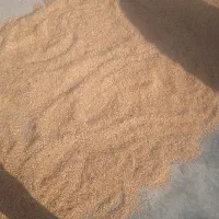 شالی ندا|خوردنی و آشامیدنی|سرخنکلاته, |دیوار