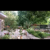 آشپز ،سالن کار و ظرفشور