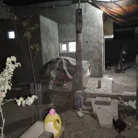 اجاره خیلی کم