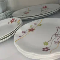 ارکوپال دسینی این طرح