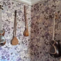 تعمیرات وساخت تار وسه تار