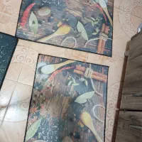 فرش آشپز خانه|فرش|شلمان, |دیوار