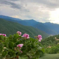 ویلای جنگلی|اجارهٔ کوتاه‌مدت ویلا و باغ|علی‌آباد کتول, |دیوار