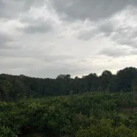 سرایداری ونظافت