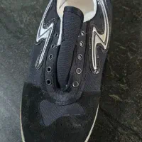 تایگر کتونی سالنی