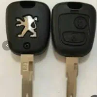 سوییچ اصلی دنا گم شده