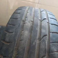 لاستیک پهن  رونیکا