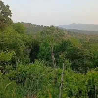 باغ-امیراباد-سی-سخت