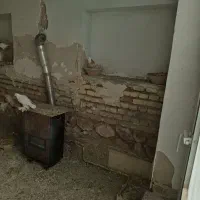 حدودا ۲۰ تا کبوتر سالم اوچان به علت اضافه بودن