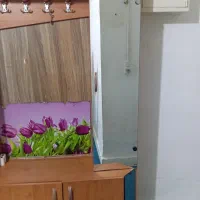 جا کفشی