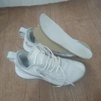 کفش.اورجینال|کیف، کفش، کمربند|سیجوال, |دیوار