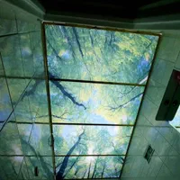 سقف کاذب حموم وسرویس و برقکاری|خدمات پیشه و مهارت|قزوین, |دیوار