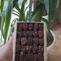 خرمای تلسکوپی ۱ کیلویی|خوردنی و آشامیدنی|قم, وادی السلام|دیوار