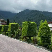 فروش-فوری-زمین-شهرکی-منطقه-رامسر-با-قیمت-کاسبی