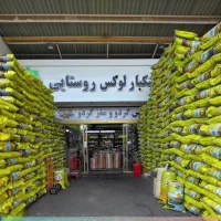 تخمه چینی طاها تی ۶