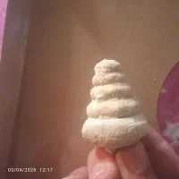 فسیل حلزونی فروش ومعاوضه باباندضبط امپلی