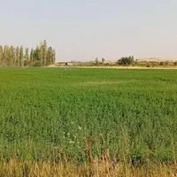 طبیعت گردی