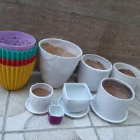 گلدانها در حد نو هستن