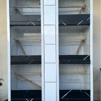 قفس عروس و قناری و پرنده