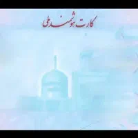 کیف کارت حاوی کارت ملی وگواهینامه و2 عددکارت بانکی