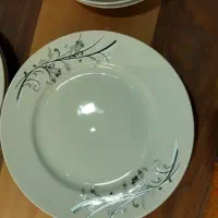 سرویس غذا خوری چینی 24 پارچه