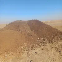 کود گاوی و گوسفندی|خدمات باغبانی و درختکاری|گمیشان, |دیوار