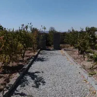 باغچه و باغ / سند اب سهمیه ای /دیوار و در ماشین رو|فروش زمین و ملک کلنگی|تهران, نعمت‌آباد|دیوار