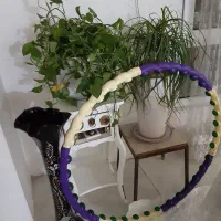 دوعدد گل و حلقه ورزشی و یک گل دان