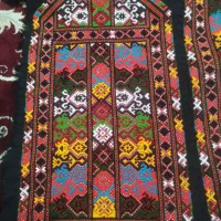 زی استین پنوچی