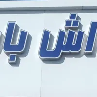 نیازمند نیروی حرفه ای کارواش
