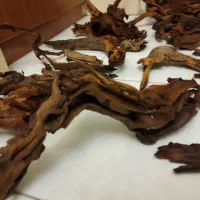 چوب اکواریم