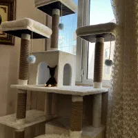 استند جای خواب و آرامش گربه و سگ
